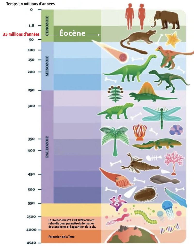 Echelle des temps géologiques